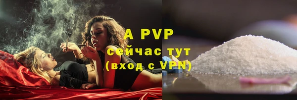 ГАЛЛЮЦИНОГЕННЫЕ ГРИБЫ Горно-Алтайск