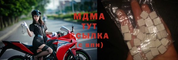 ГАЛЛЮЦИНОГЕННЫЕ ГРИБЫ Горно-Алтайск