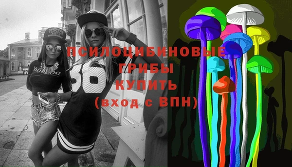 ГАЛЛЮЦИНОГЕННЫЕ ГРИБЫ Горно-Алтайск
