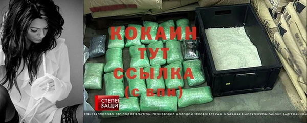 ГАЛЛЮЦИНОГЕННЫЕ ГРИБЫ Гусиноозёрск