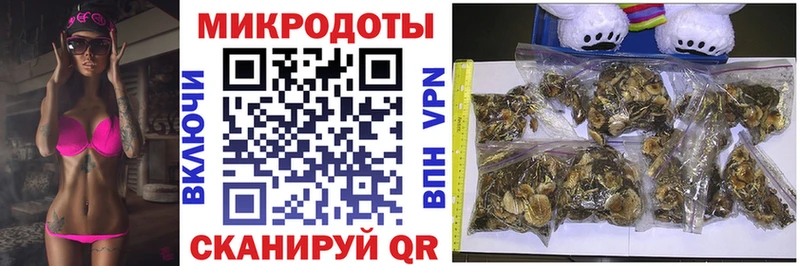 кракен ссылки Гусь-Хрустальный Галлюциногенные грибы мицелий